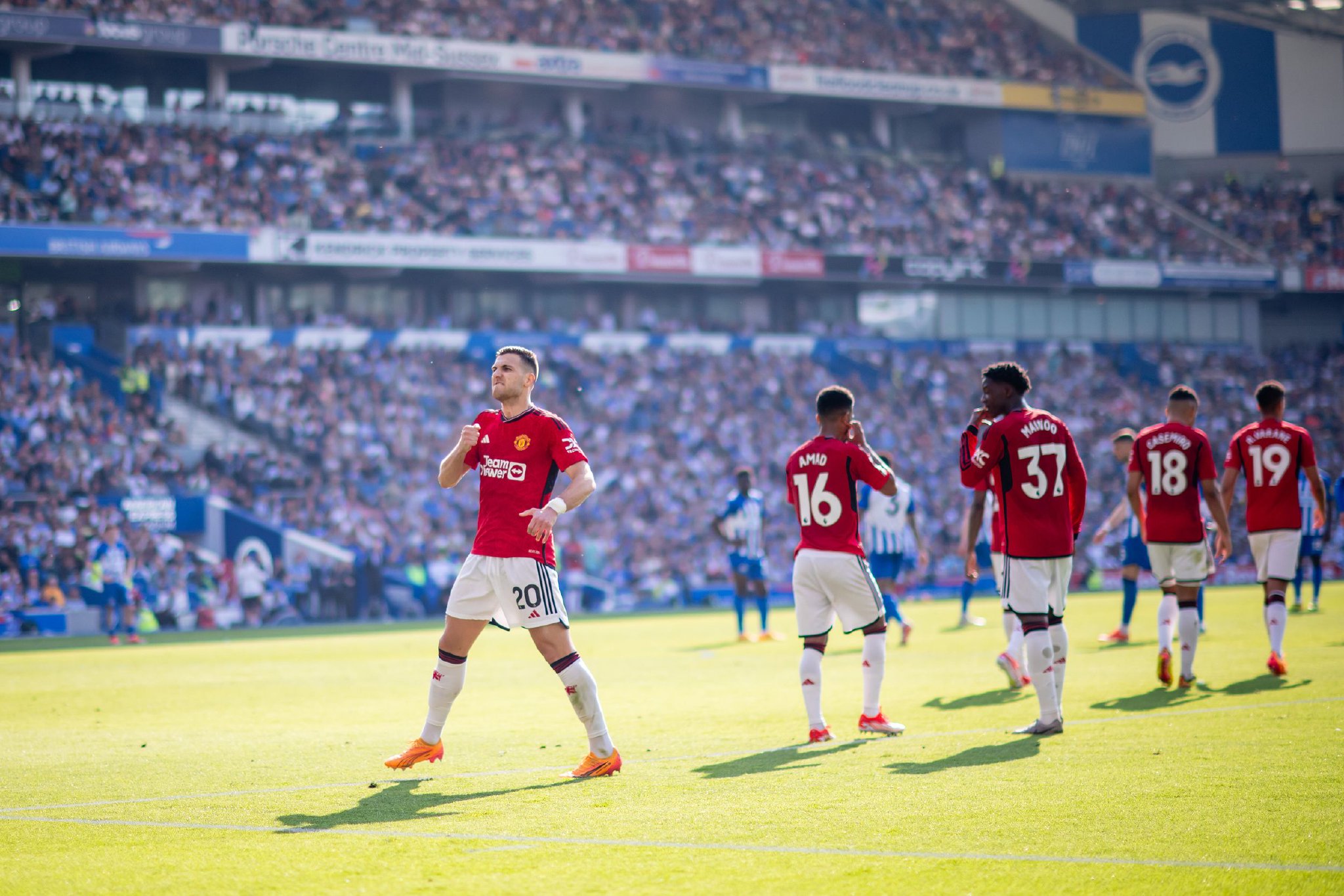 尤其是奥利 尤其是奥利